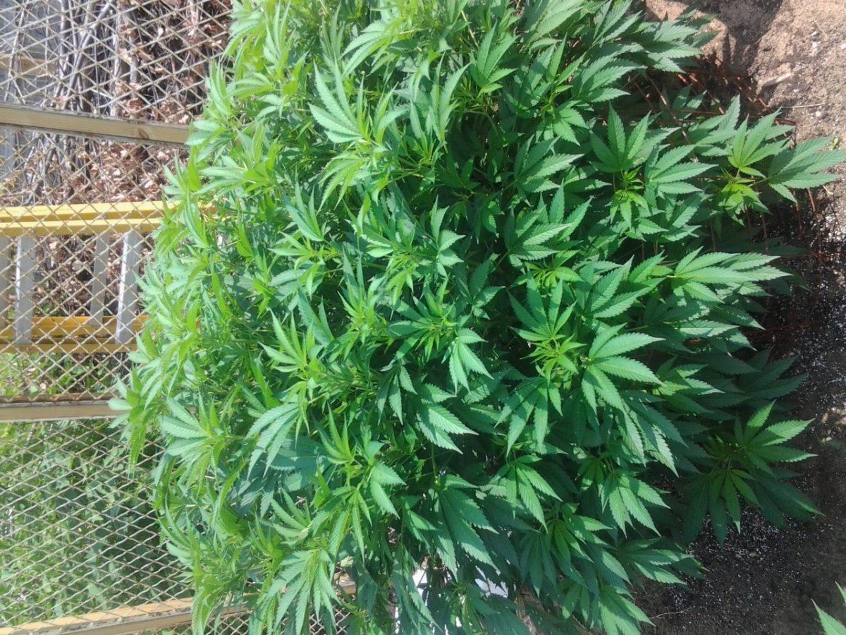 20140802 134900
