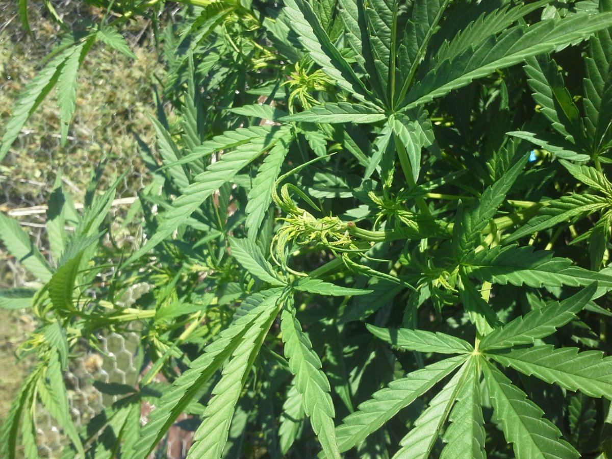 20140808 074744