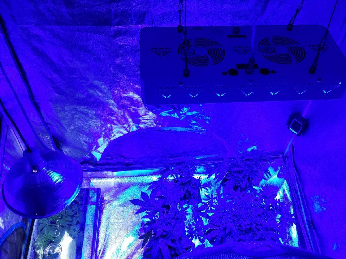 20140826 183956