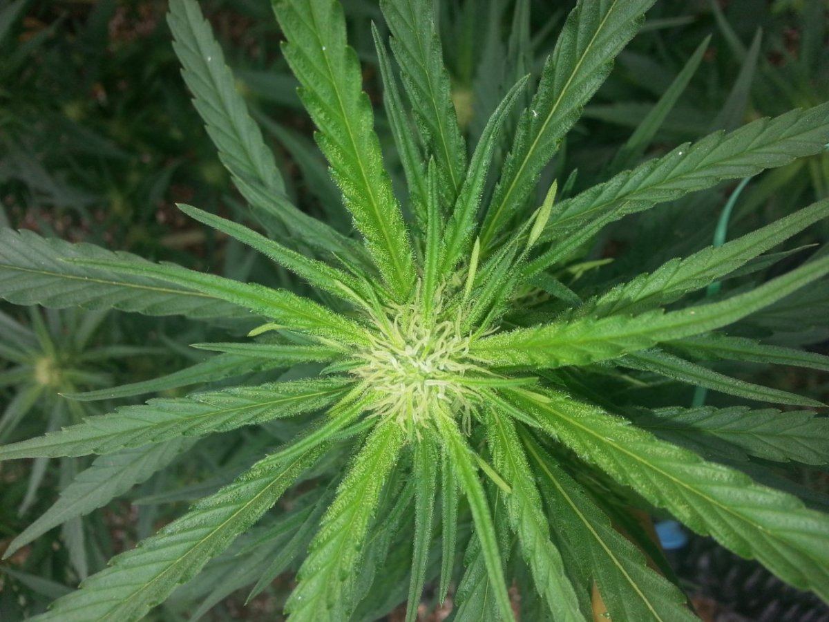 20140917 132814