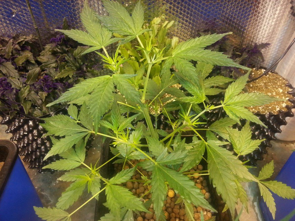 20140917 224454