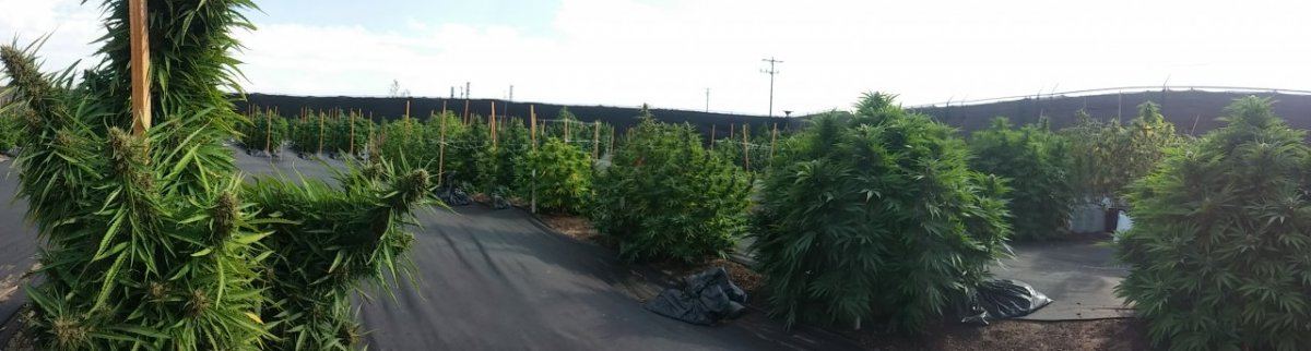 20140922 155200 Pano