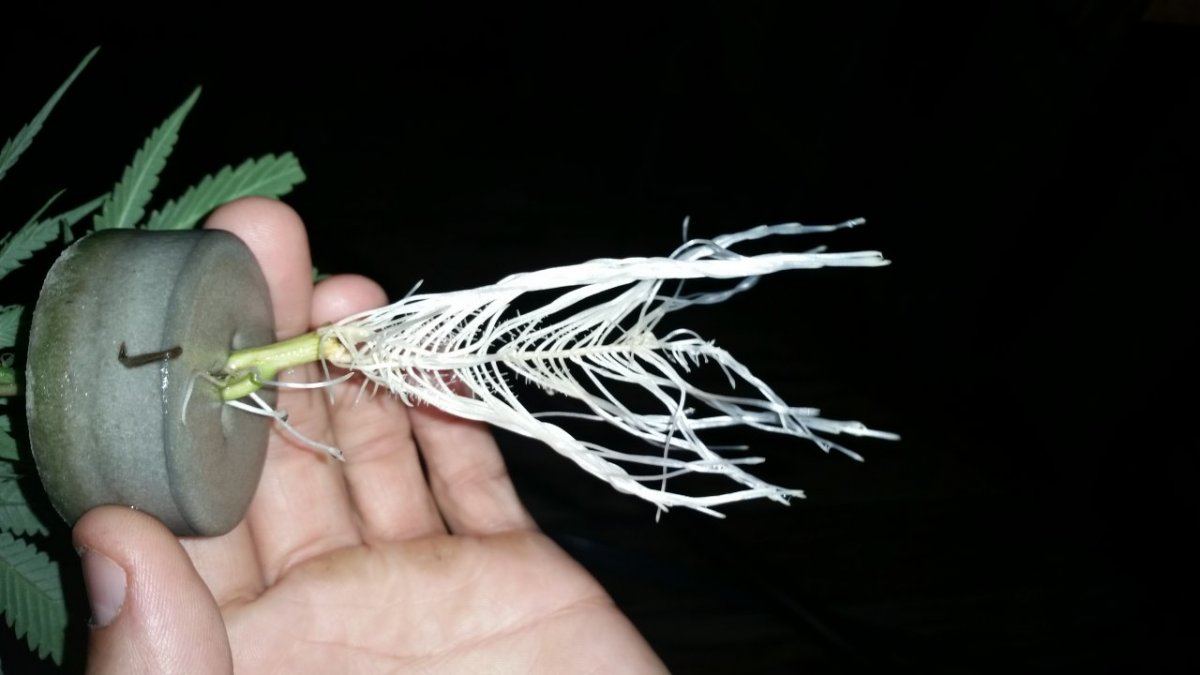 20140926 133850