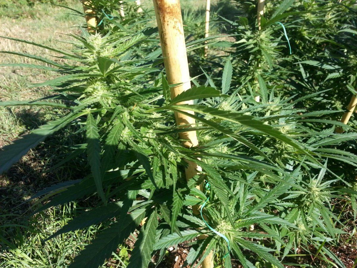20140927 153503