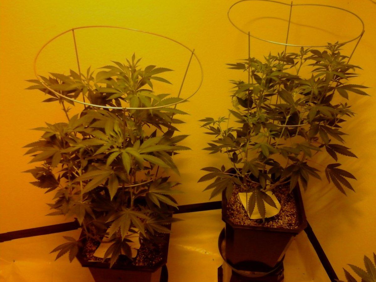 20141001 225029