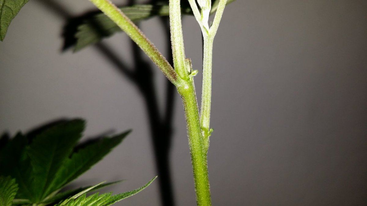 20141002 165847