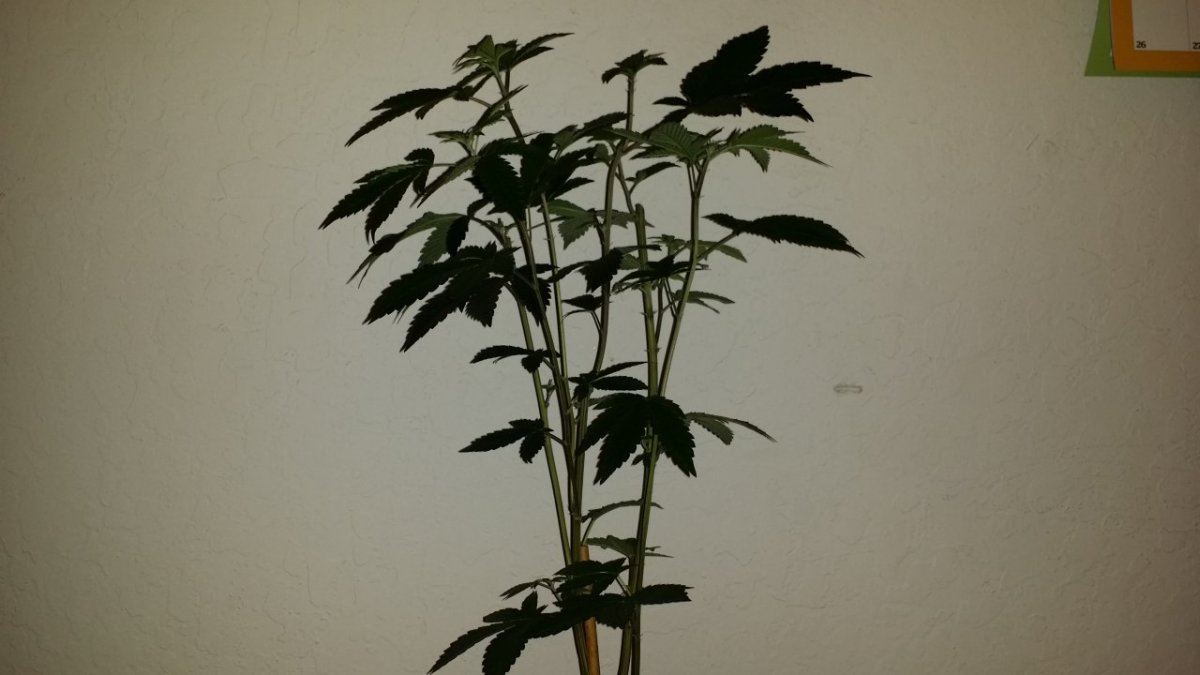 20141002 170423