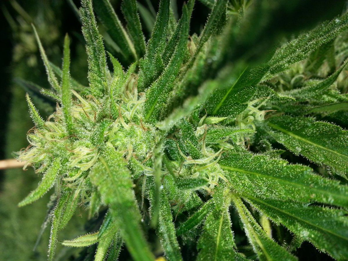 20141007 164010