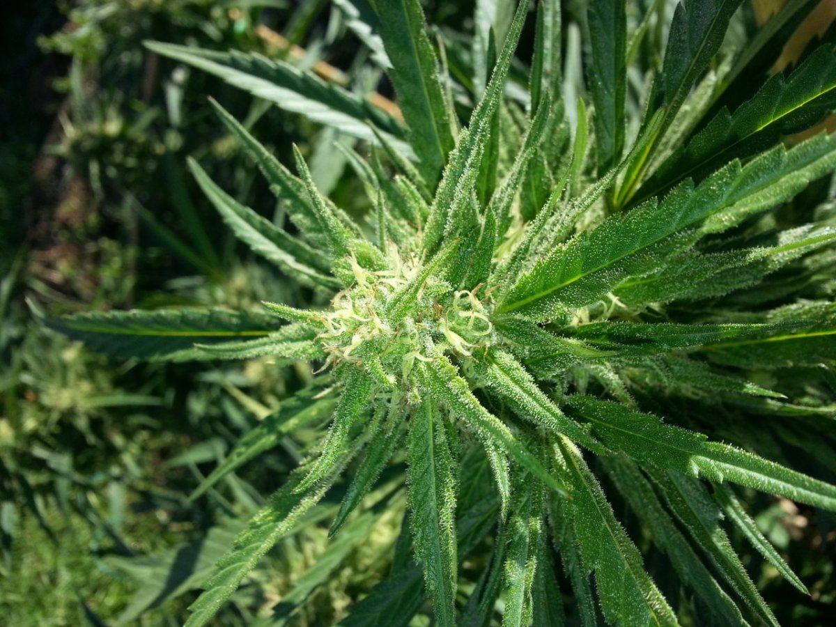 20141007 164017