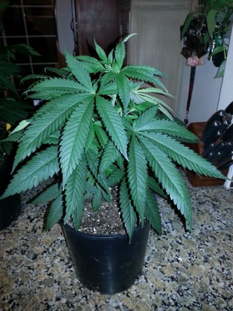 20141009 213430