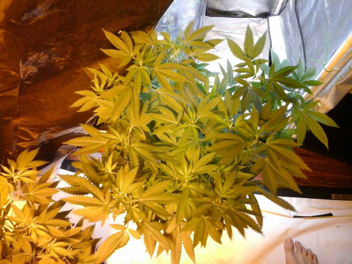 20141012 225310