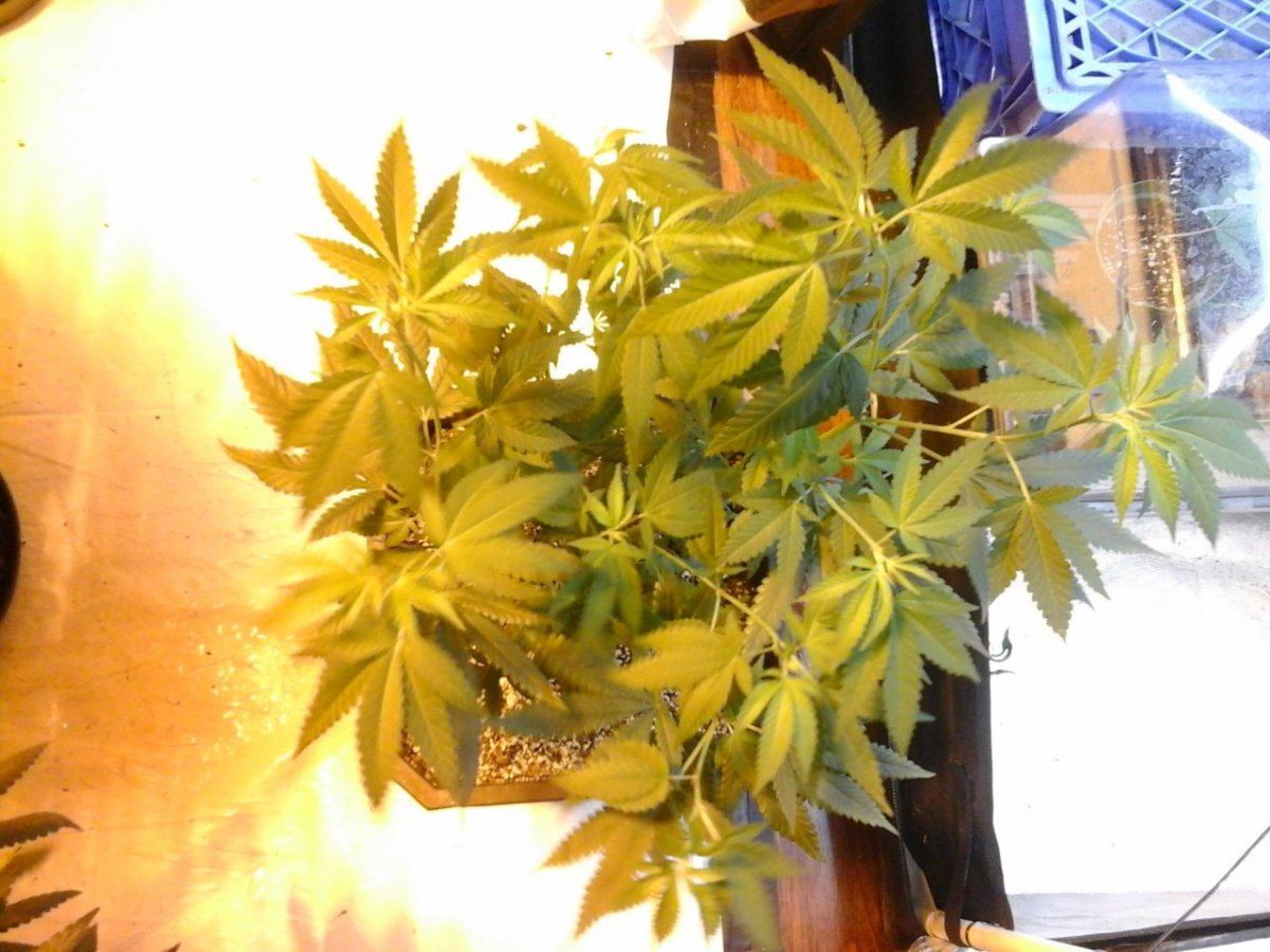 20141012 225408