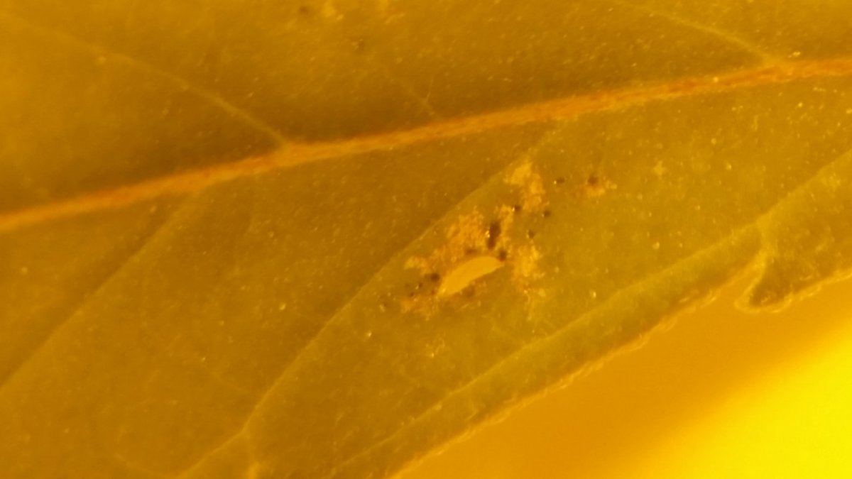 20141013 011529