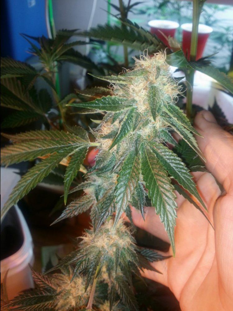 20141026 152728