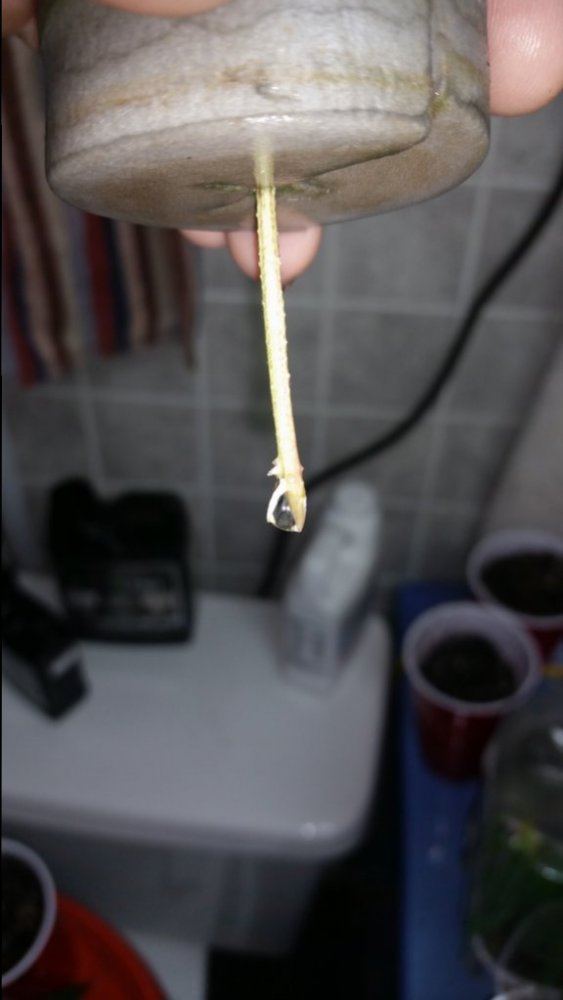 20141028 112531