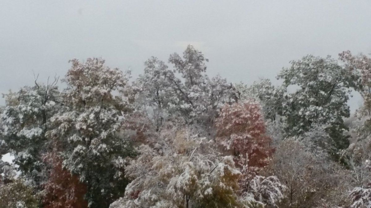 20141101 110154