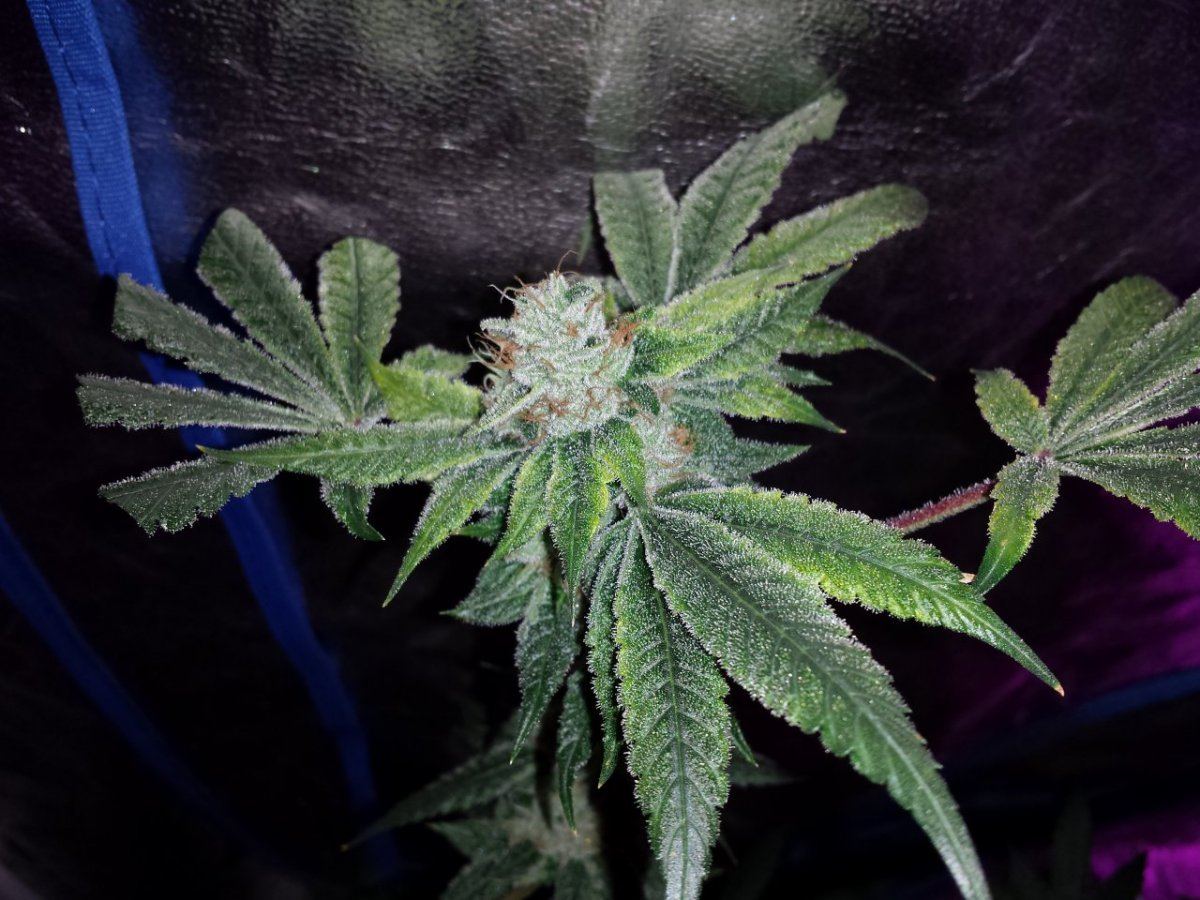 20141104 065330