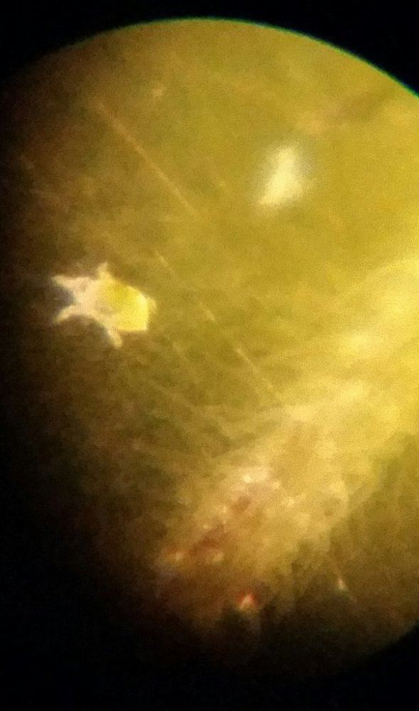 20141104 144137 3