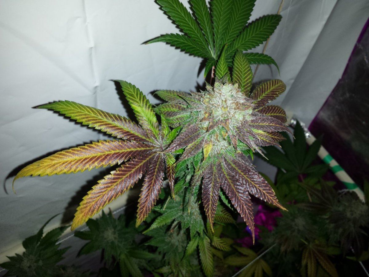 20141105 234558