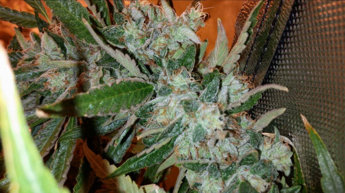 20141112 162042