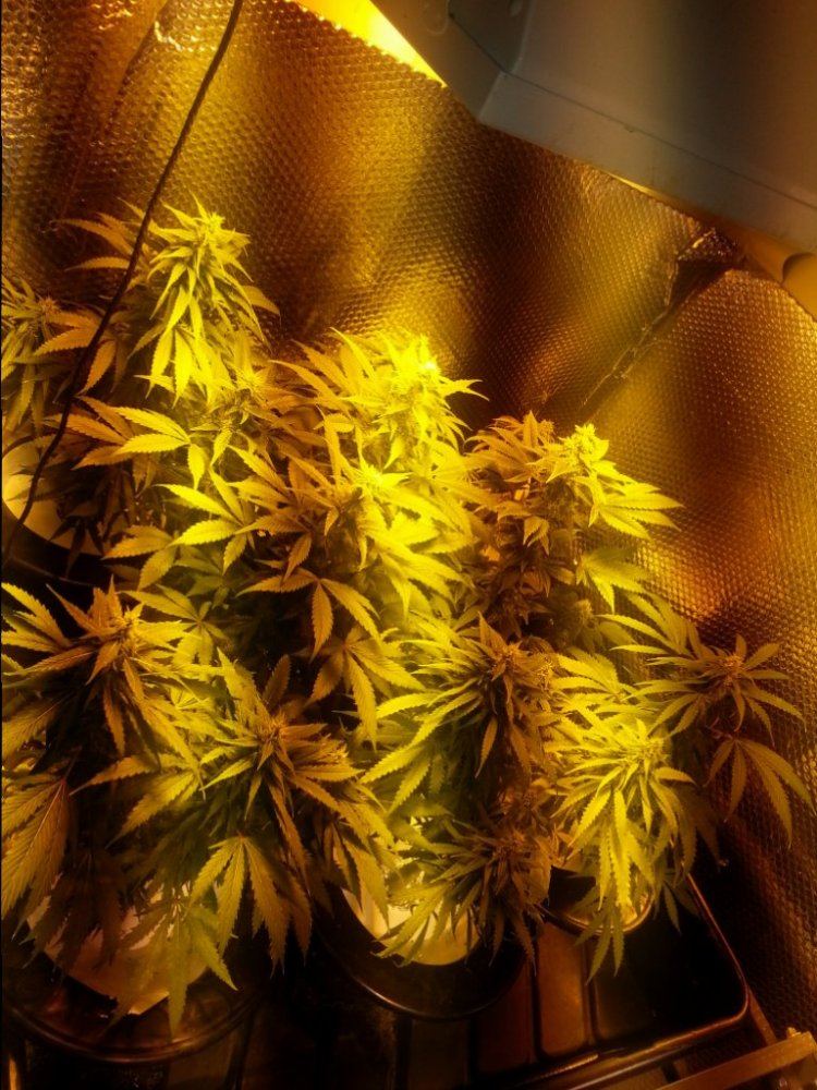 20141119 185341