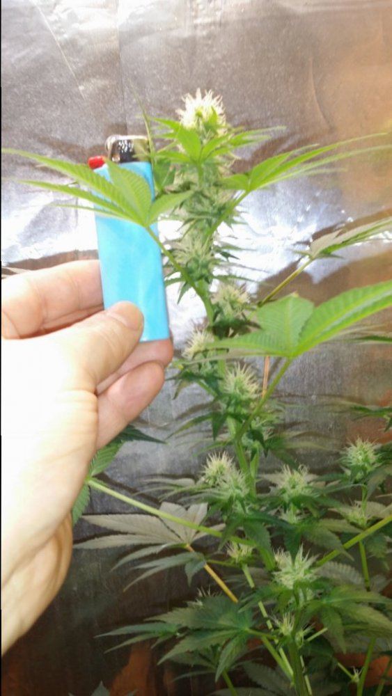20141123 172022