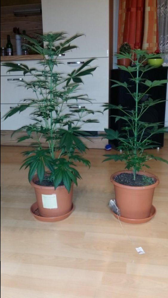 20141123 172222