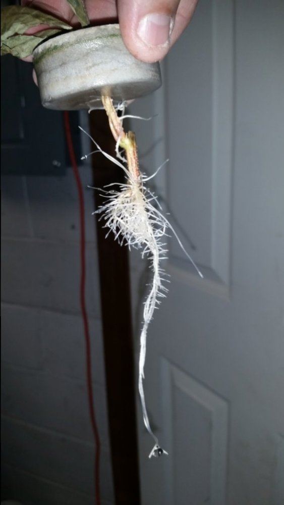 20141204 045747