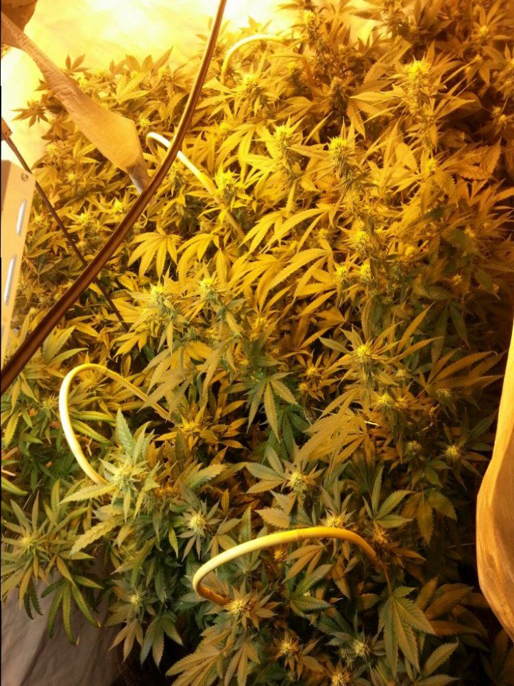 20141204 112647