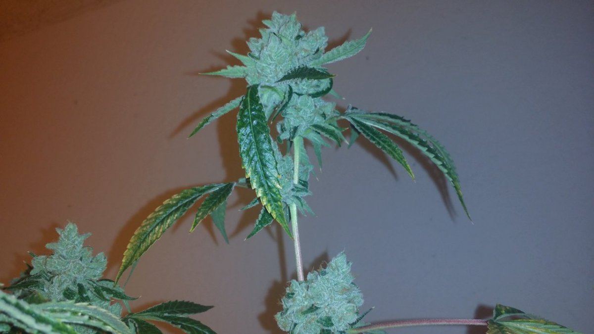 20141208 161737