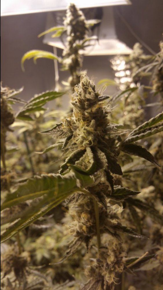20141213 223329