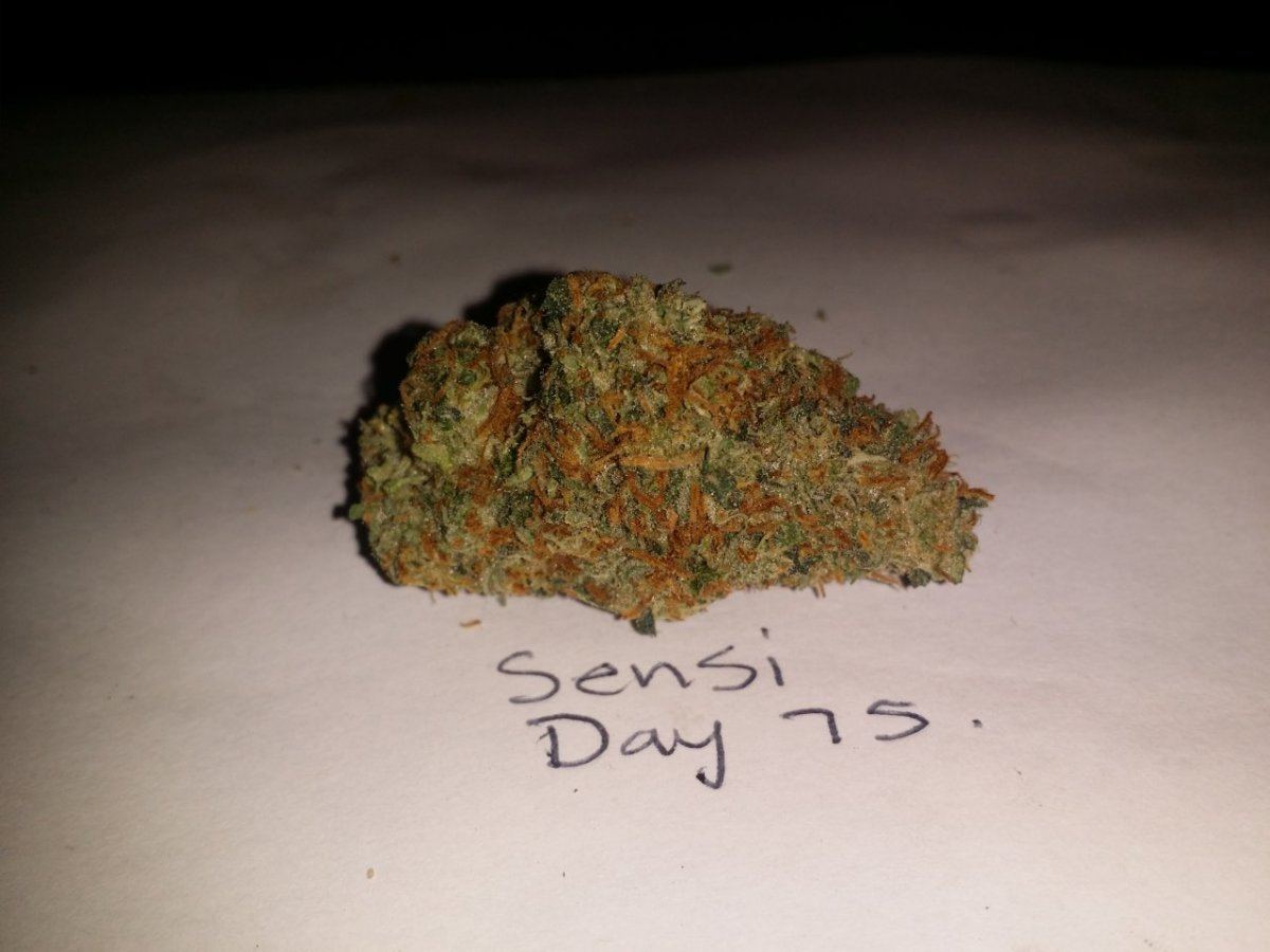 20141217 110730