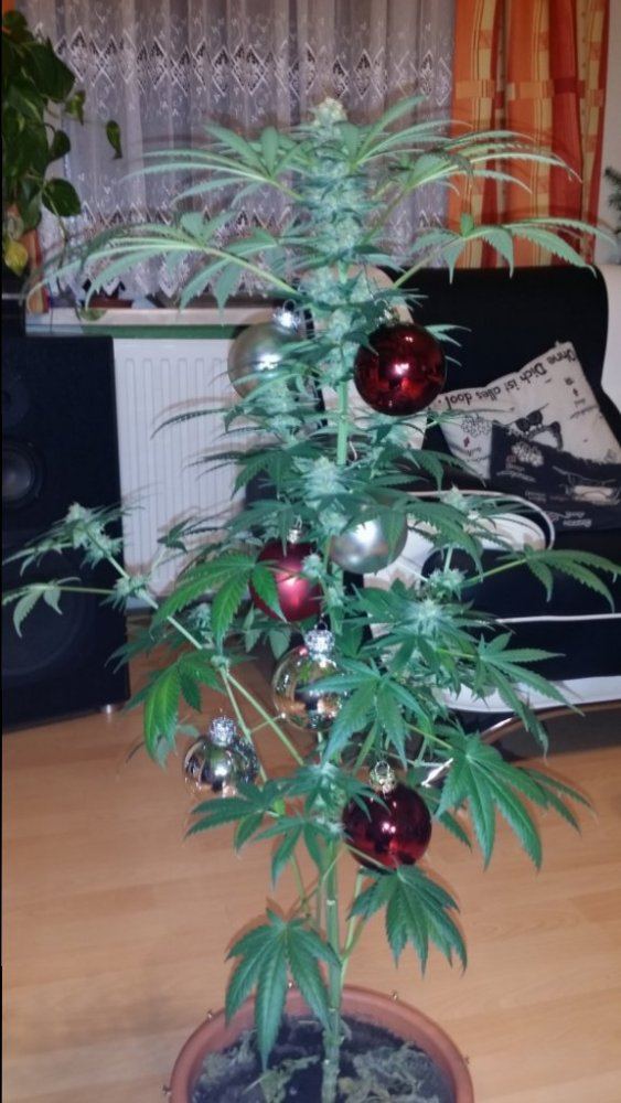 20141217 185700