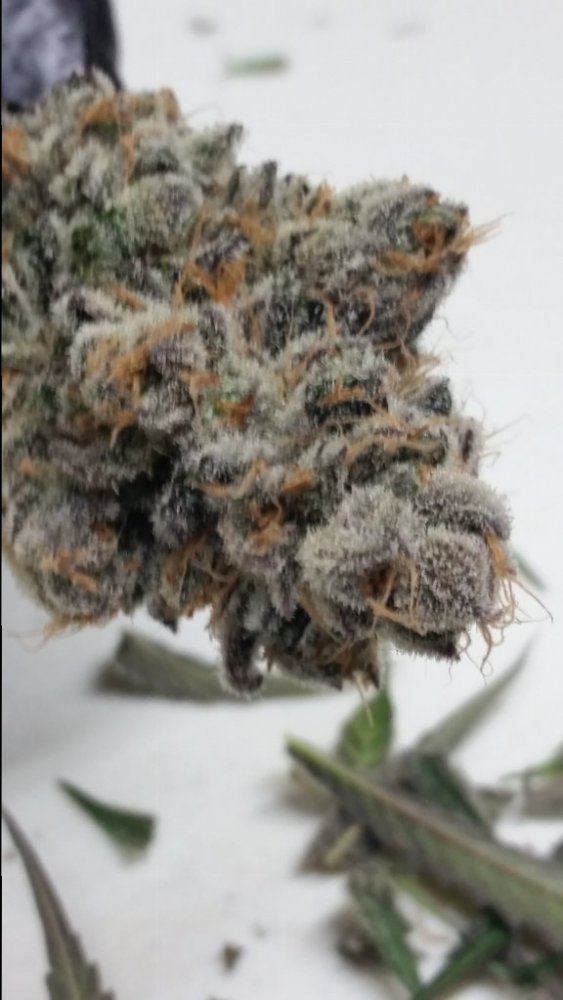 20141220 054550