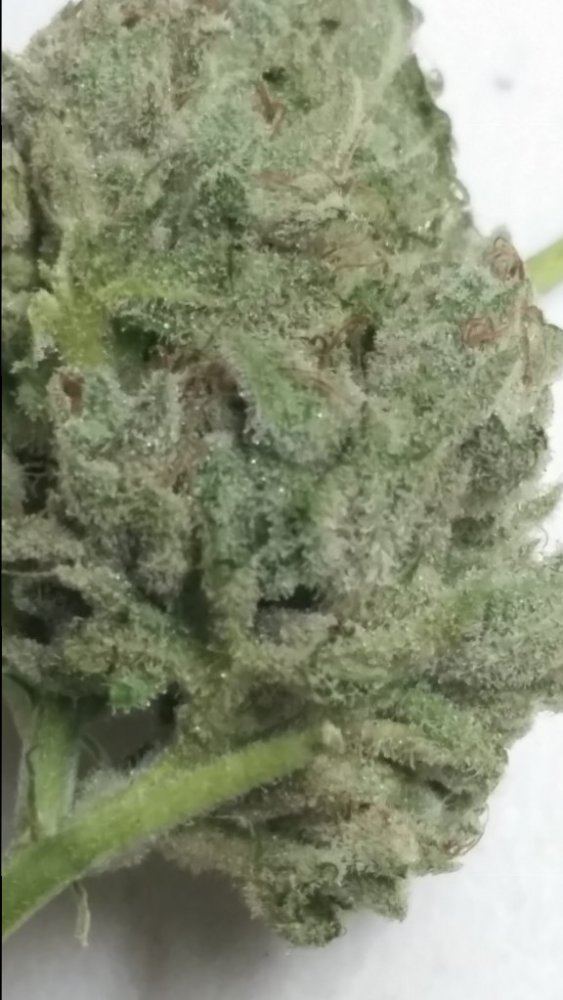 20141220 072855