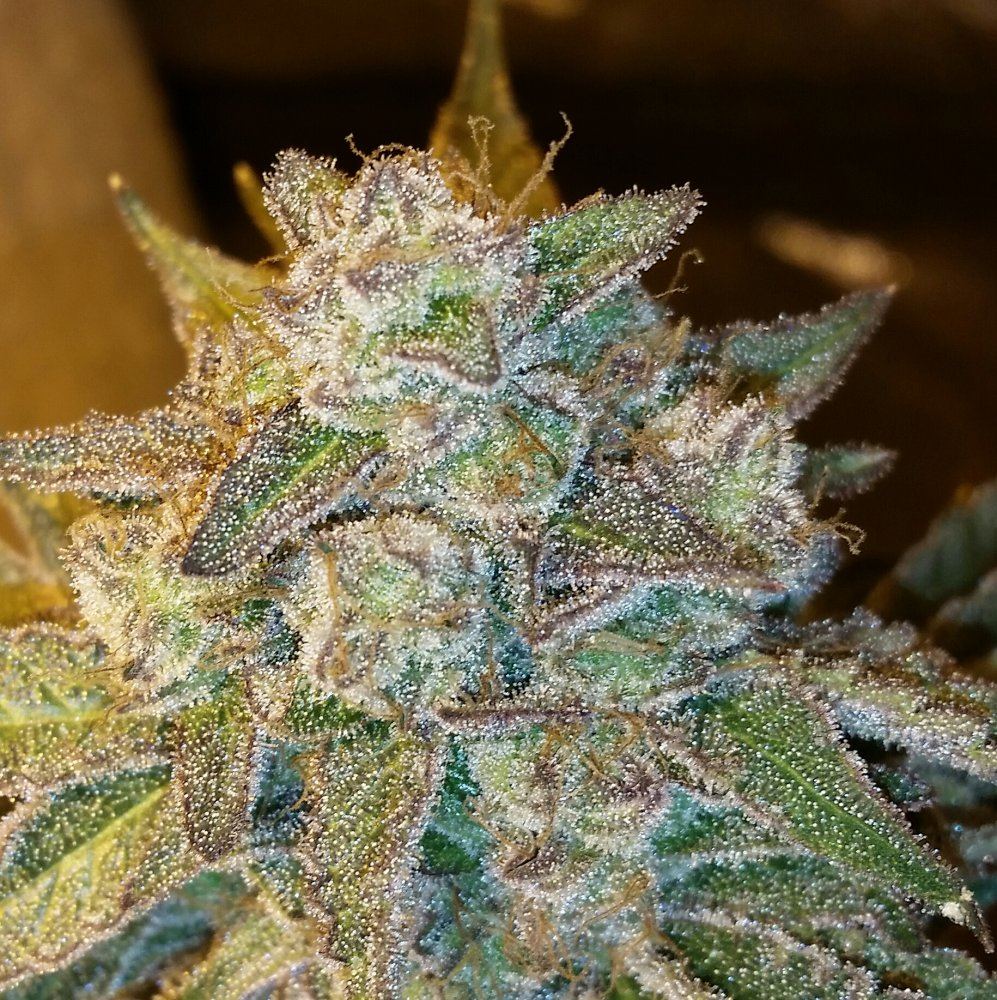 20141229 125612 2