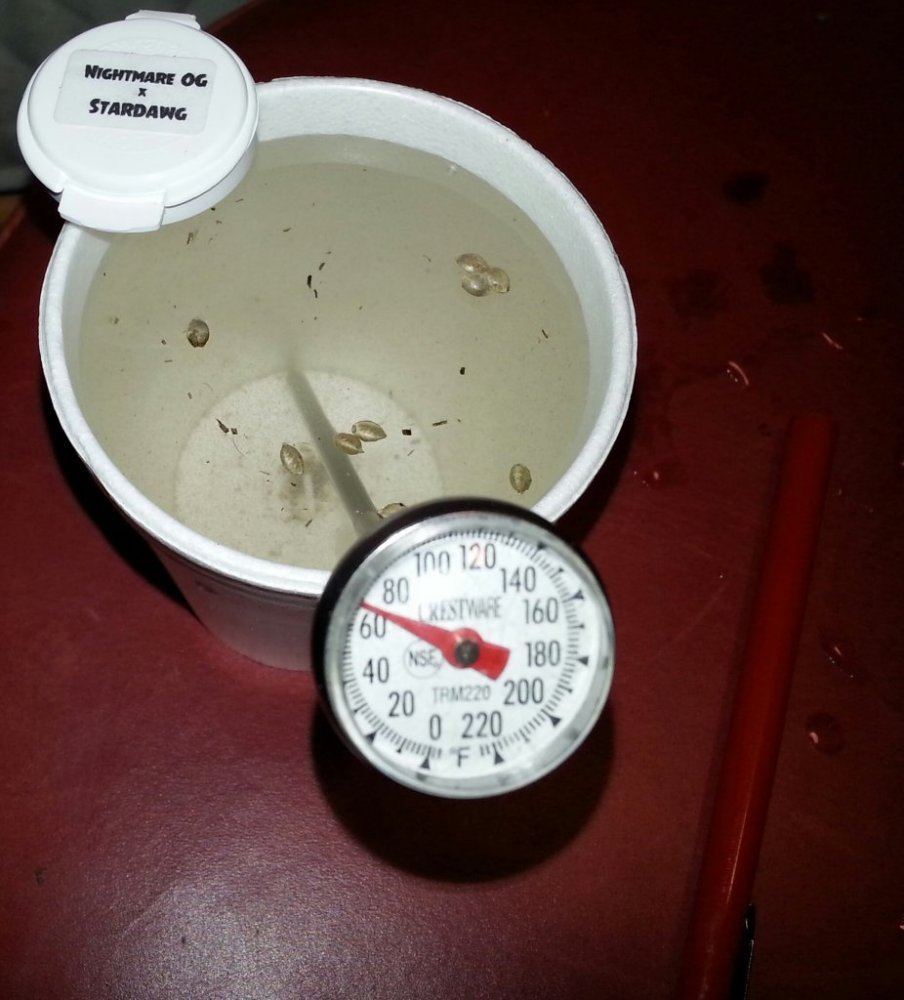 20141231 162652 1