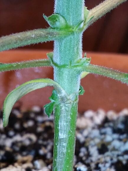 2015 02 23 144422