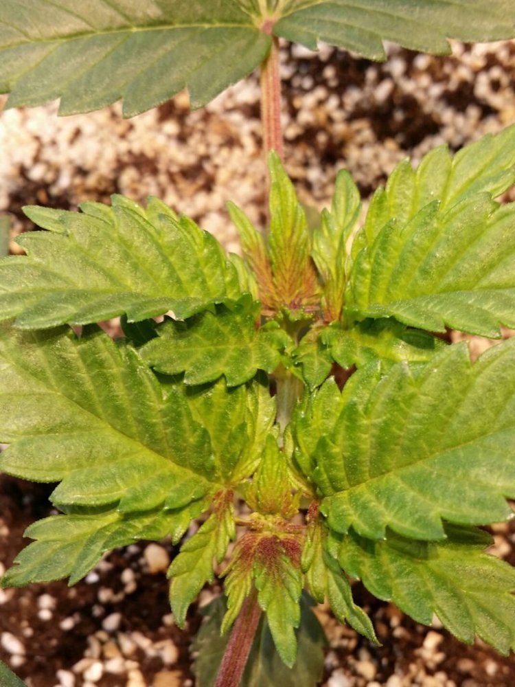 2015 02 26 122030