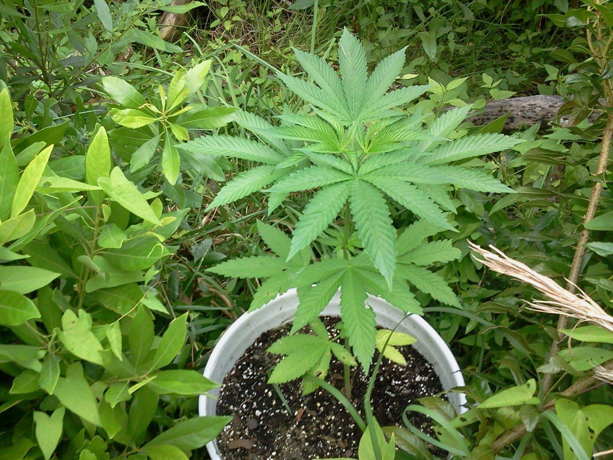 2015 06 05 124725
