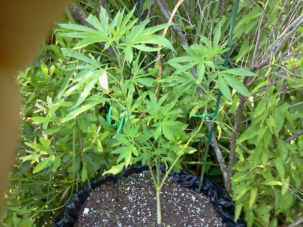 2015 07 02 171240