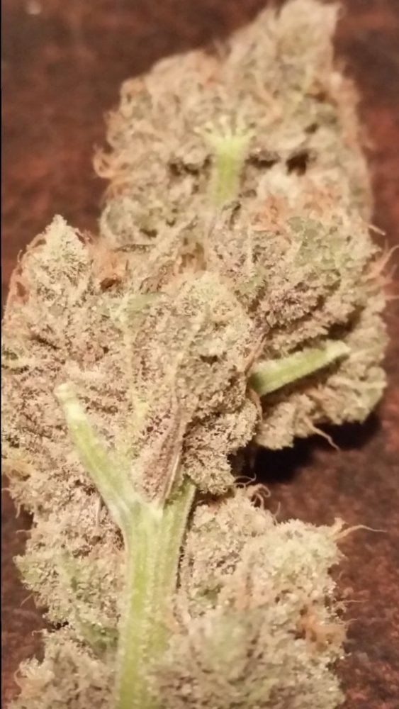 20150101 073757
