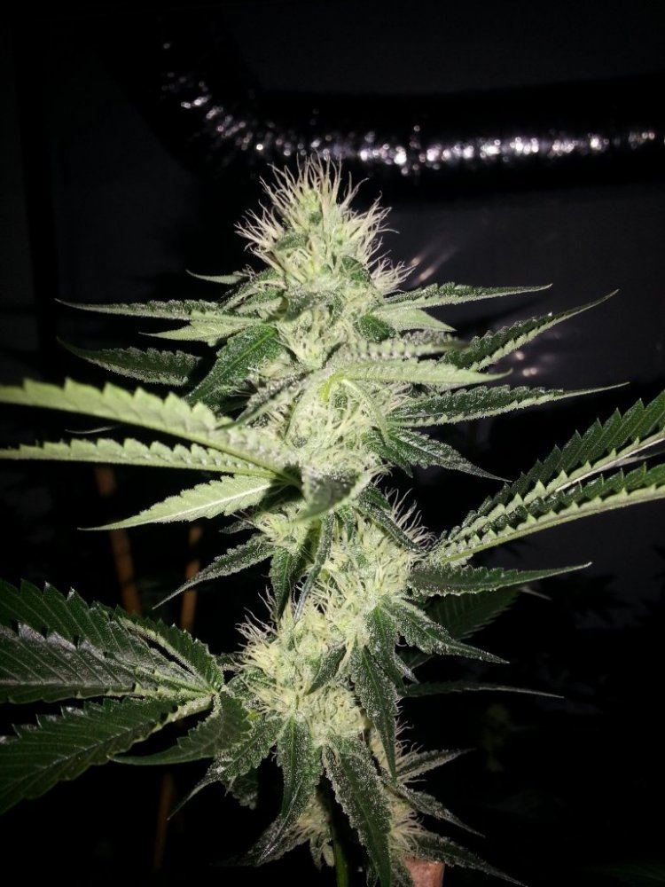 20150101 091130