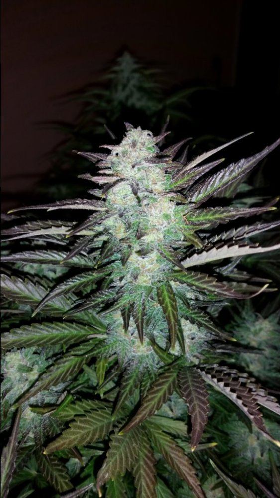 20150101 181239