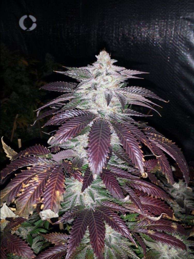 20150104 151314