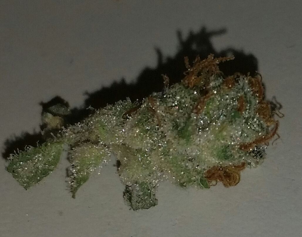 20150107 204822 1