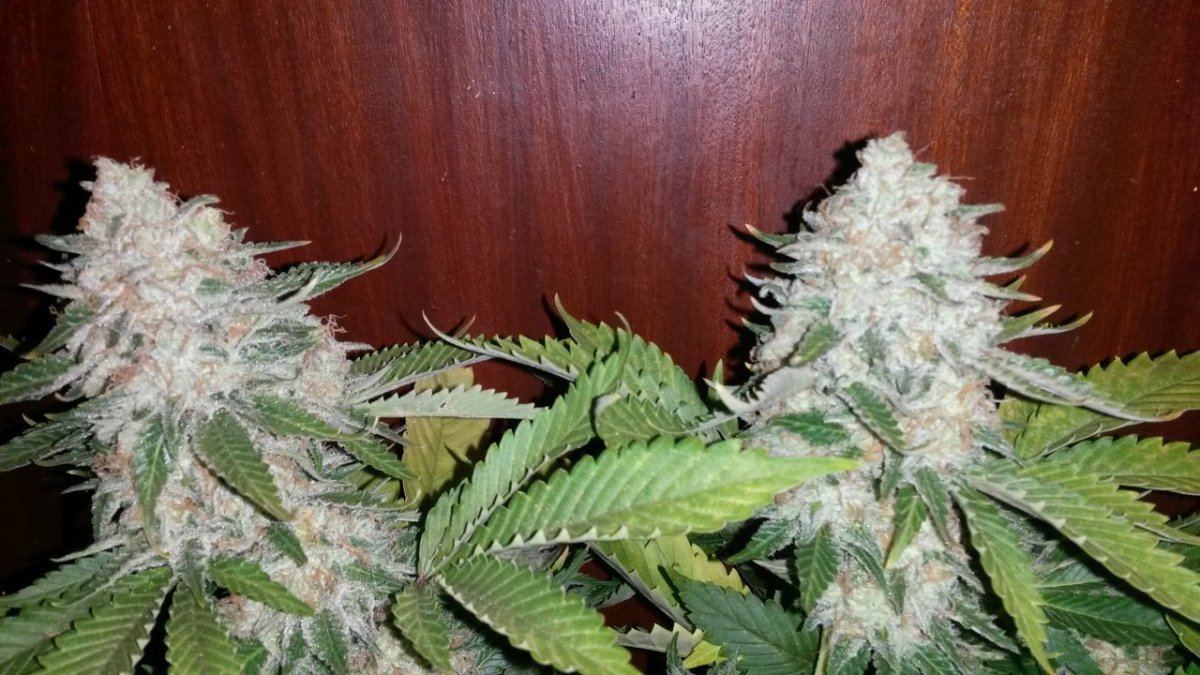 20150108 205804