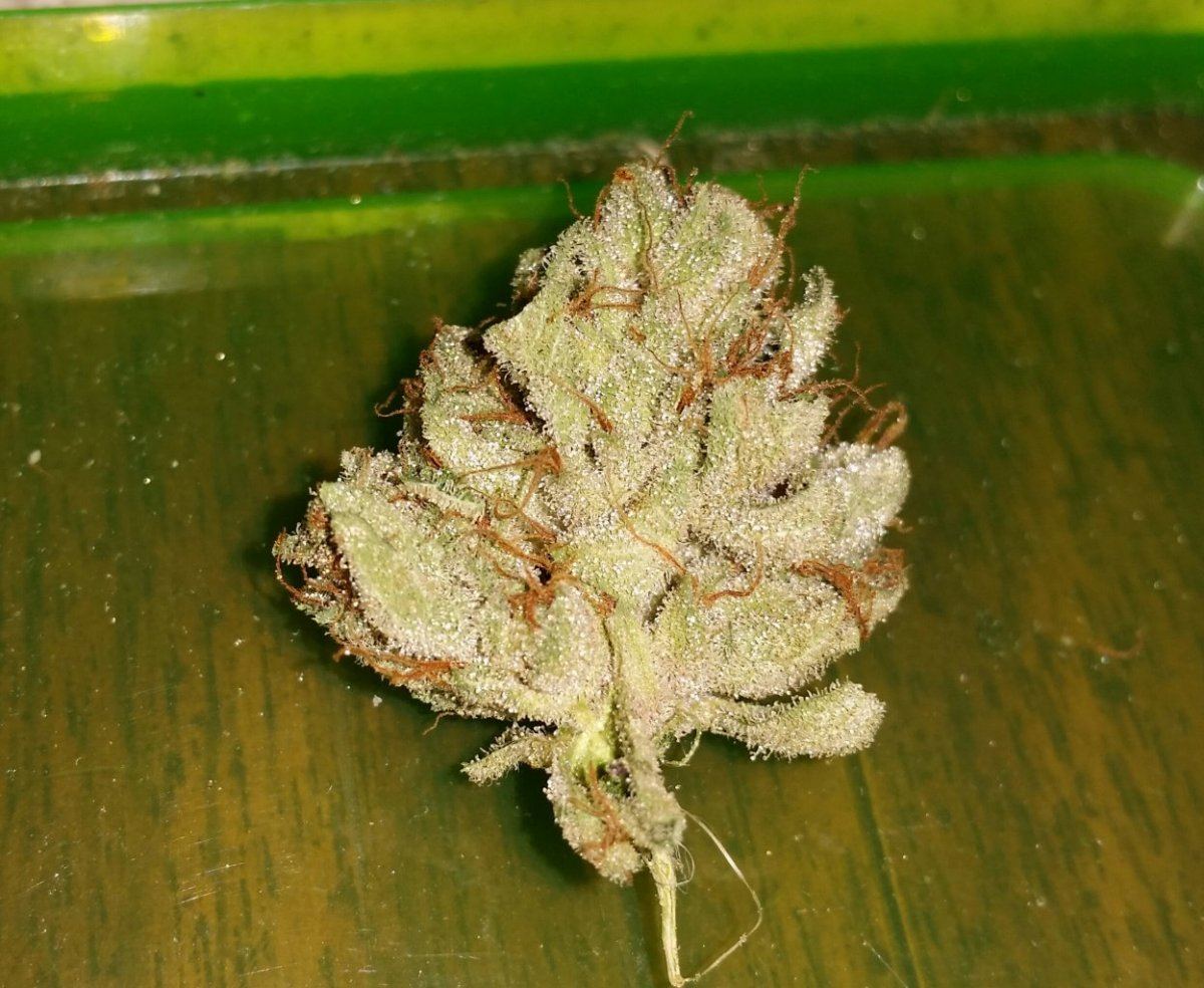 20150110 201042 1