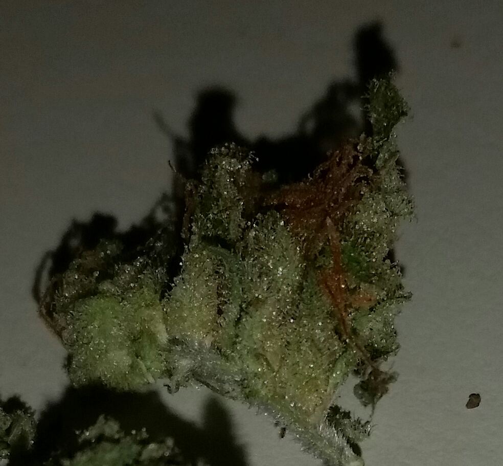 20150114 064521 1