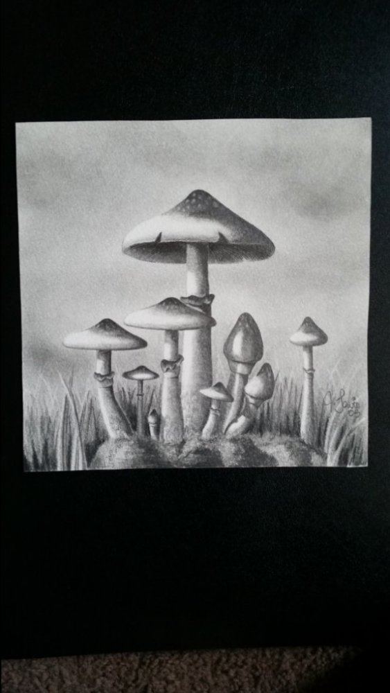 20150116 112534